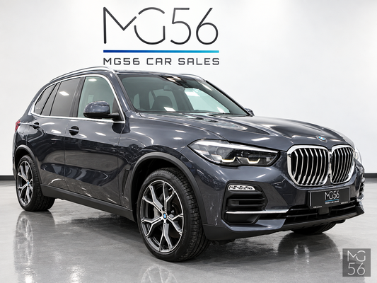 BMW X5 xDrive45e G05 Harman/Kardon Arktis Grey Brilliant Effect - BMW