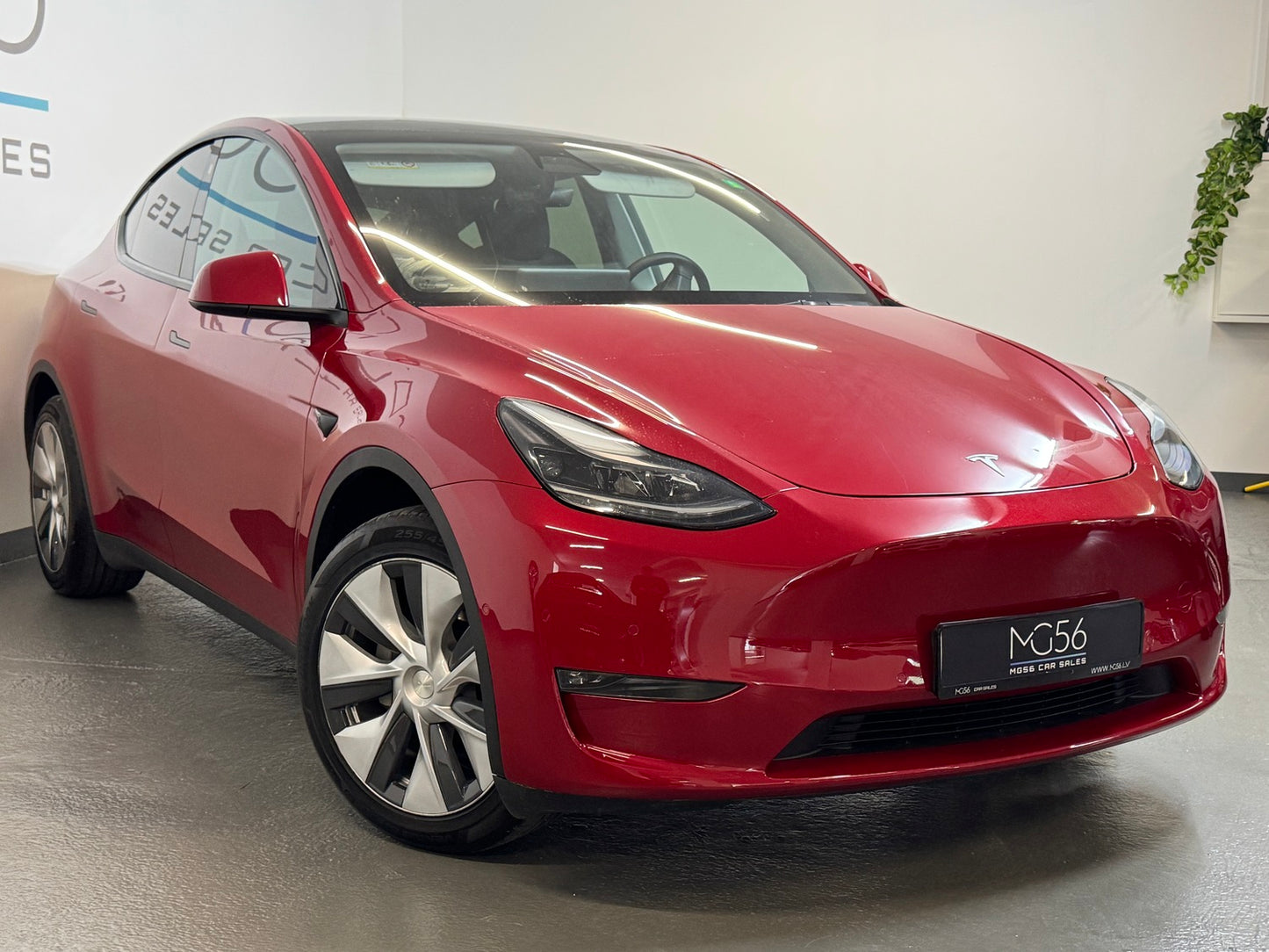 Tesla Model Y Long Range Dual AWD
