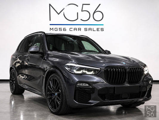 BMW X5 xDrive30d G05 M Sport Pneimo Integral Active Steering Panorama Harman/Kardon Arctic Grey Brilliant Effect