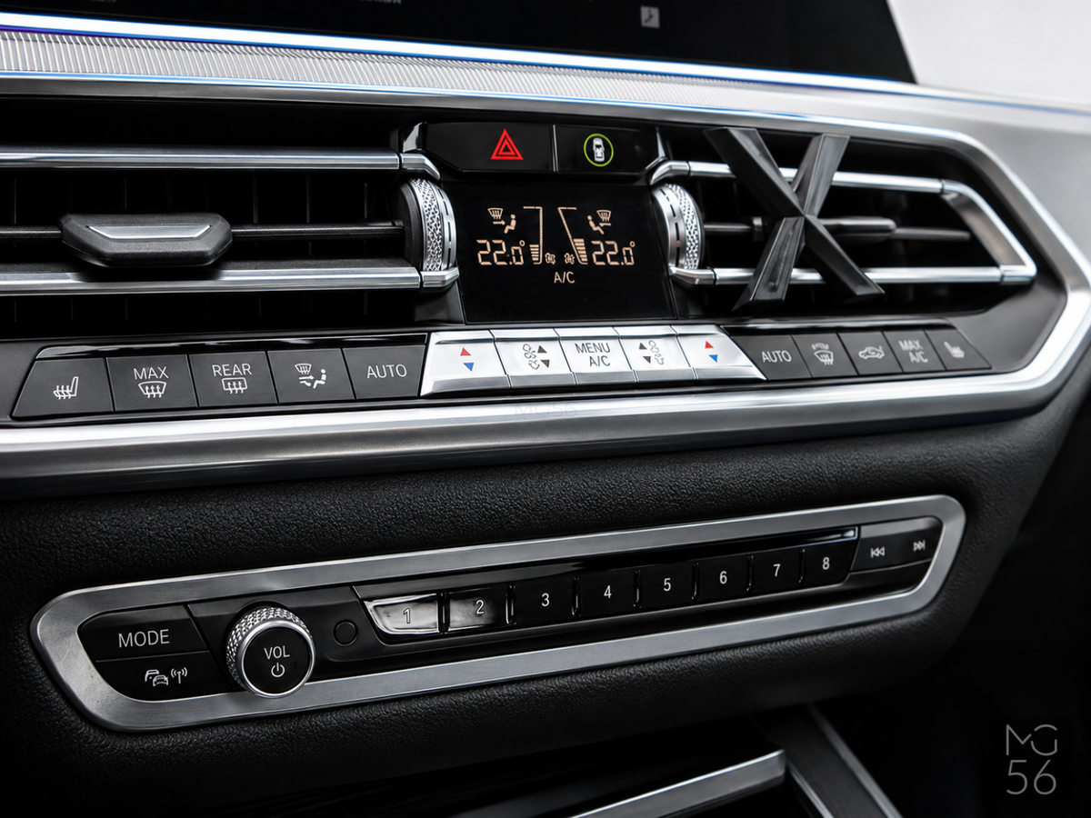 BMW X5 xDrive30d G05 M Sport Pneimo Integral Active Steering Panorama Harman/Kardon Arctic Grey Brilliant Effect