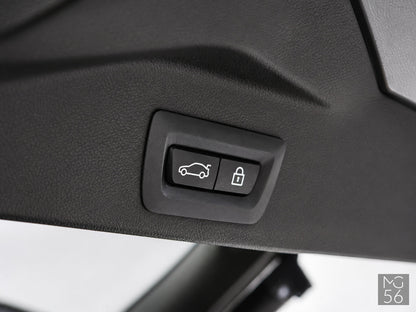 BMW X5 xDrive30d G05 M Sport Pneimo Integral Active Steering Panorama Harman/Kardon Arctic Grey Brilliant Effect