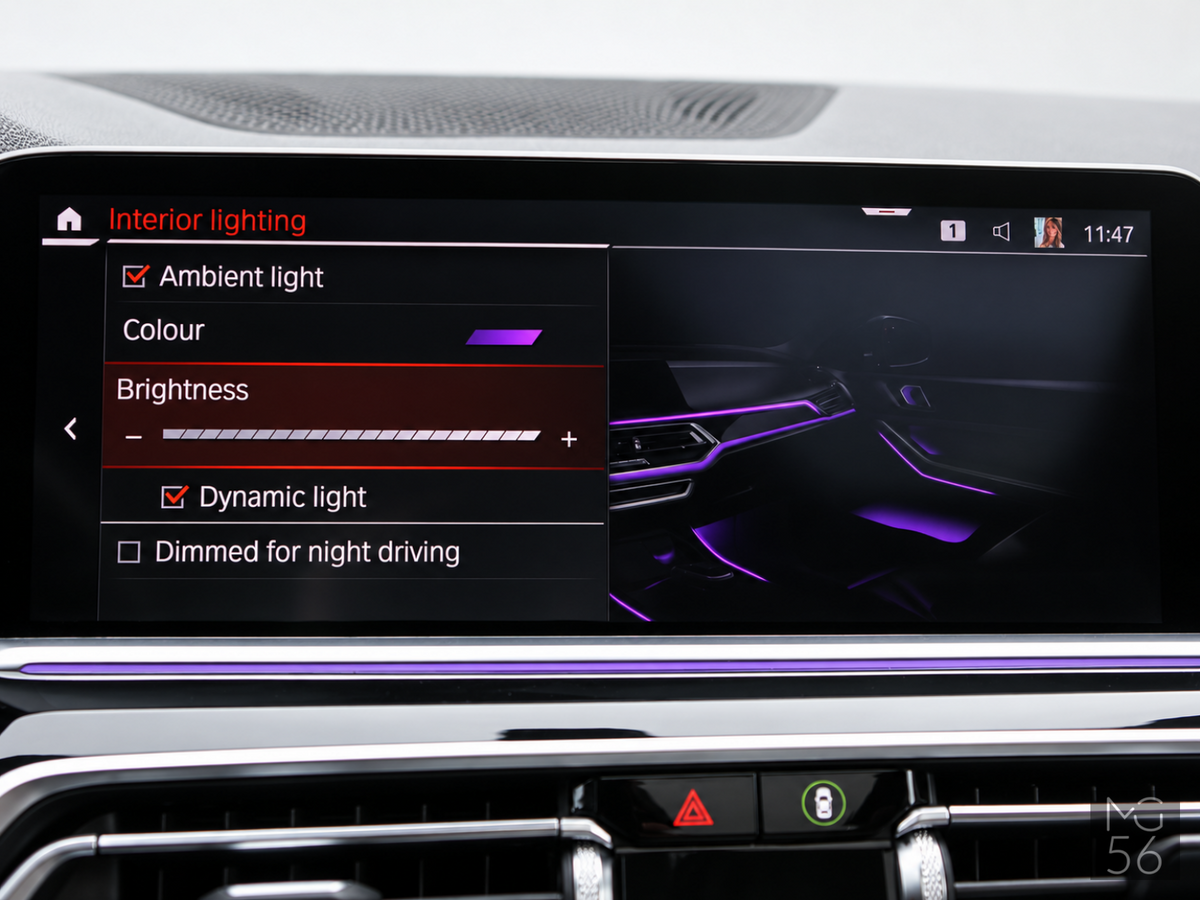 BMW X5 xDrive45e G05 Harman/Kardon Arktis Grey Brilliant Effect - BMW