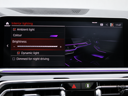 BMW X5 xDrive45e G05 Harman/Kardon Arktis Grey Brilliant Effect - BMW