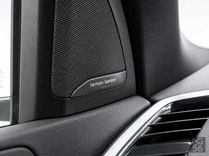 BMW X5 xDrive45e G05 Harman/Kardon Arktis Grey Brilliant Effect - BMW