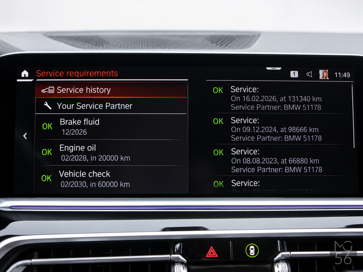 BMW X5 xDrive45e G05 Harman/Kardon Arktis Grey Brilliant Effect - BMW