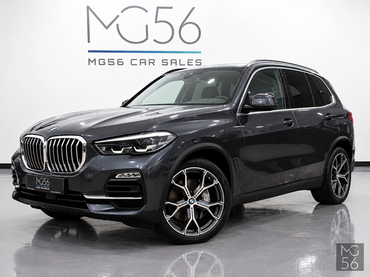 BMW X5 xDrive45e G05 Harman/Kardon Arktis Grey Brilliant Effect - BMW