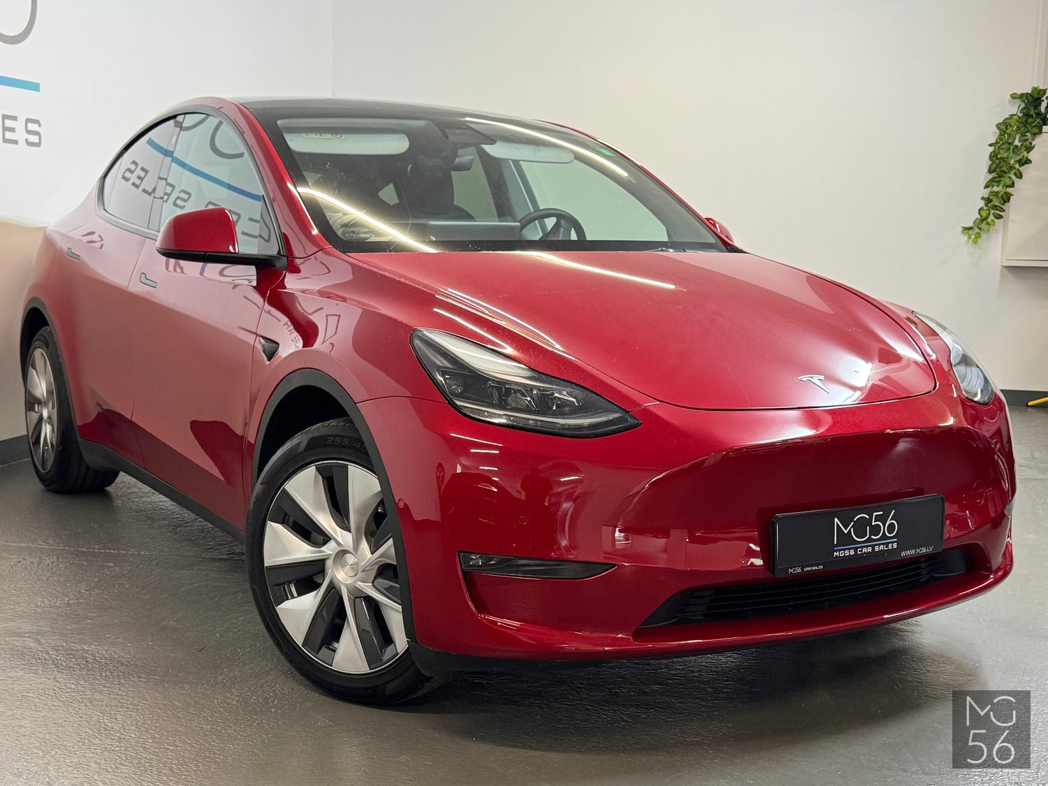 Tesla Model Y Long Range Dual AWD Tesla