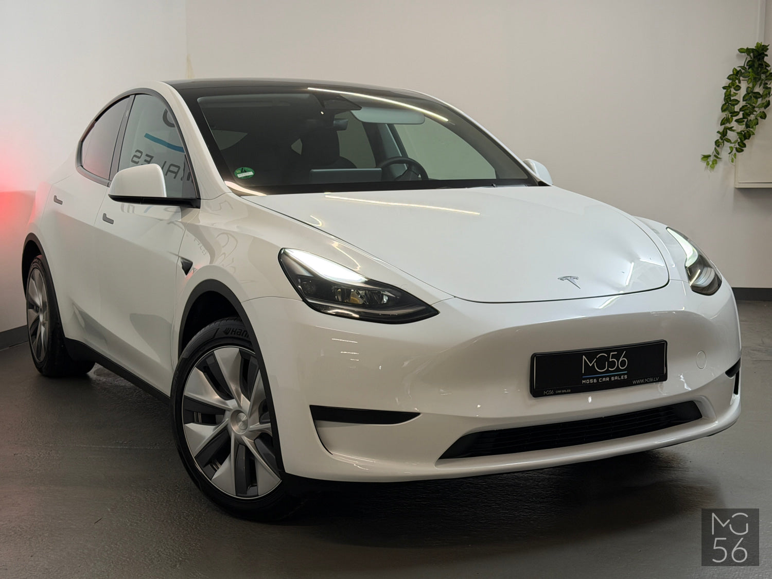 Tesla Model Y Tesla